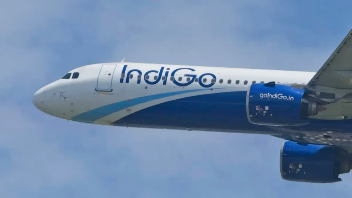 Indigo
